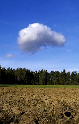 Cloud