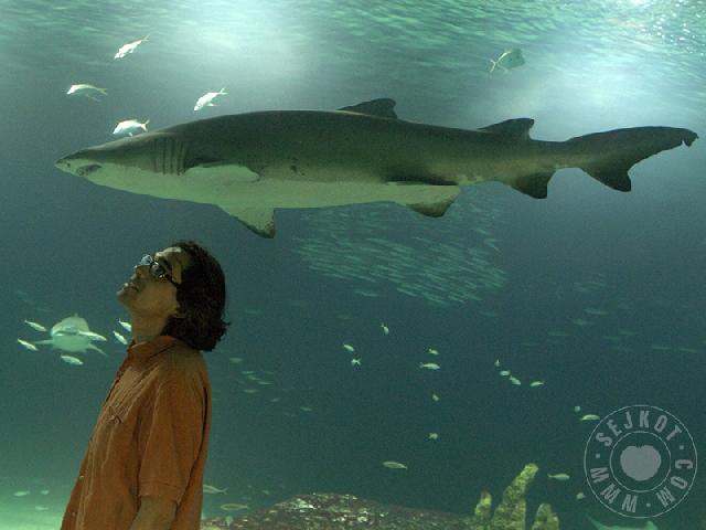 Oceanografic Valencia