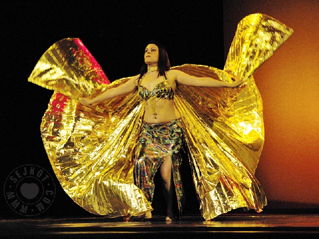 NPDF 2009