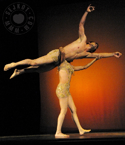 NPDF 2009