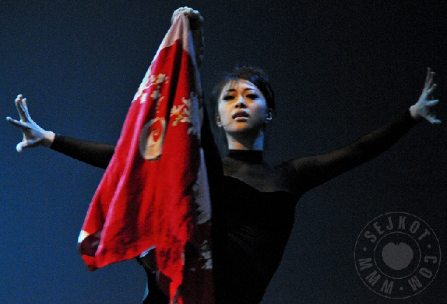 NPDF 2009