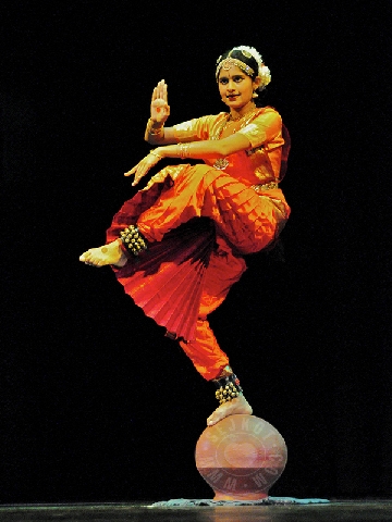 NPDF 2009