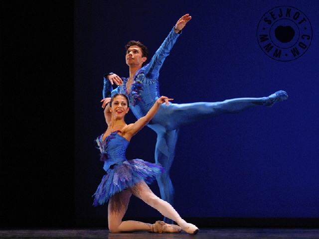 Balet Gala 2006