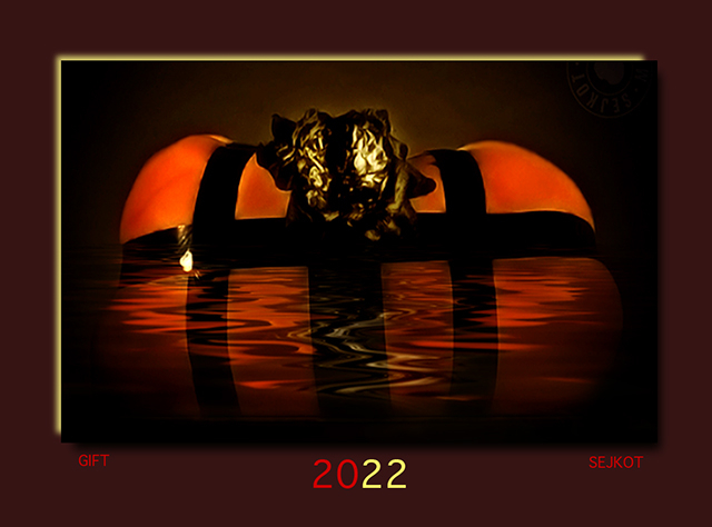 V�NO�N� D�RKOV� POUKAZ  1.001,-