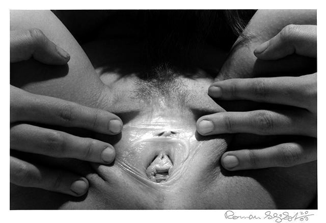 FACE in FACE