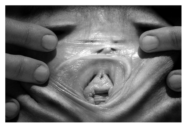 FACE in FACES