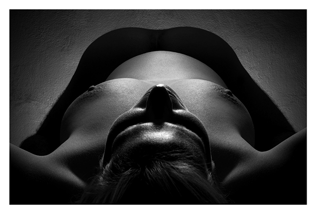 FACEBACK 2011
