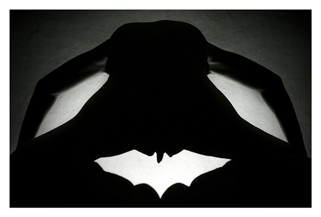 HADES and BAT