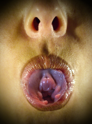 LIPS III