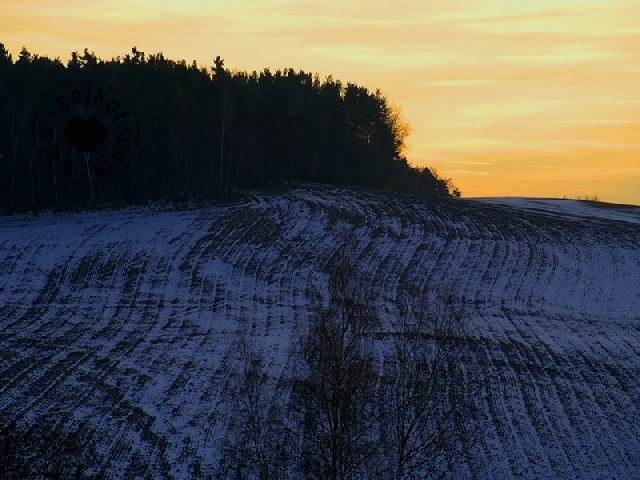 Field