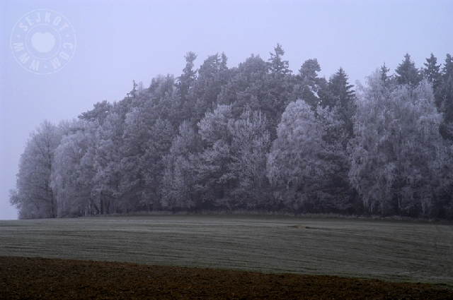Slight Frost