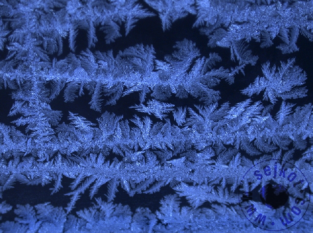 Ice