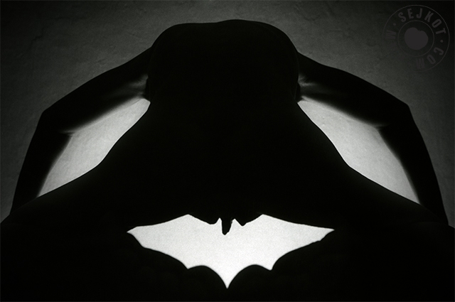HADES AND BAT