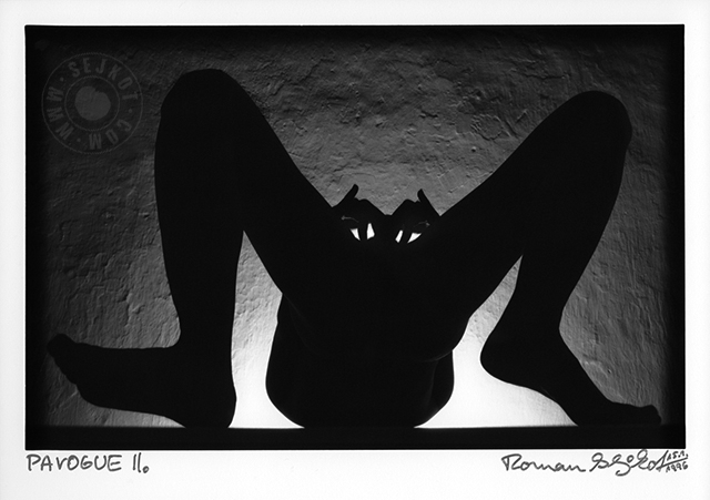 PAVOGUE II.