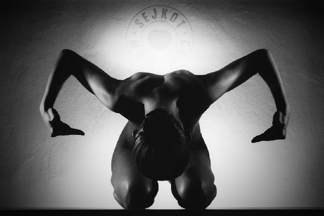 PETRACTOR II.