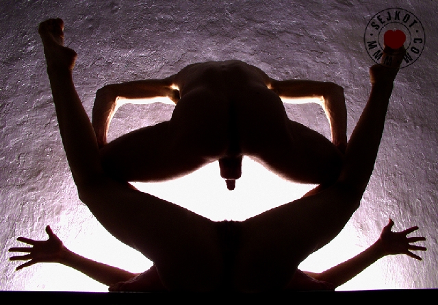 SEXAMINATOR