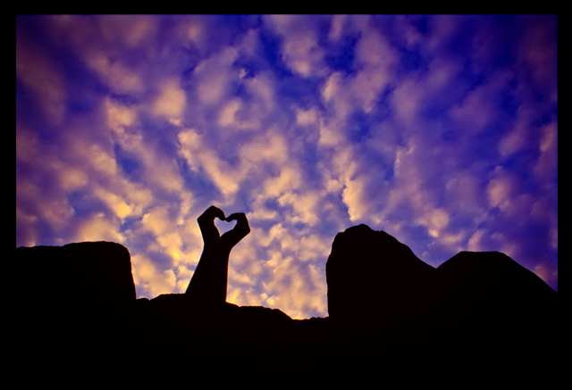 TANK of Love II.