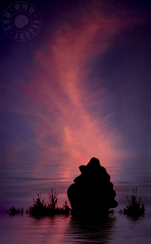 VENUSTREAM X.