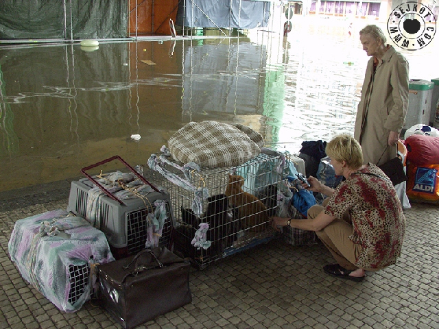 Flood 2002, Praha