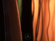 architektura