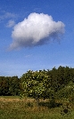 krajina